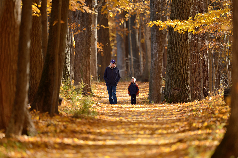 father and son walking on the forest